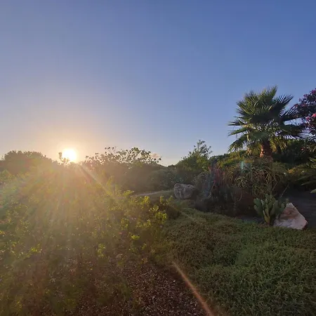 Casa Tara 公寓 阿尔盖罗